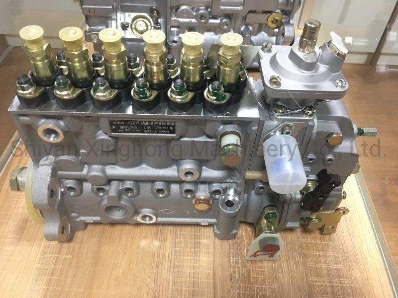 Dcec 6CT8.3 Engine Parts for Fuel Injection Pump 3973900