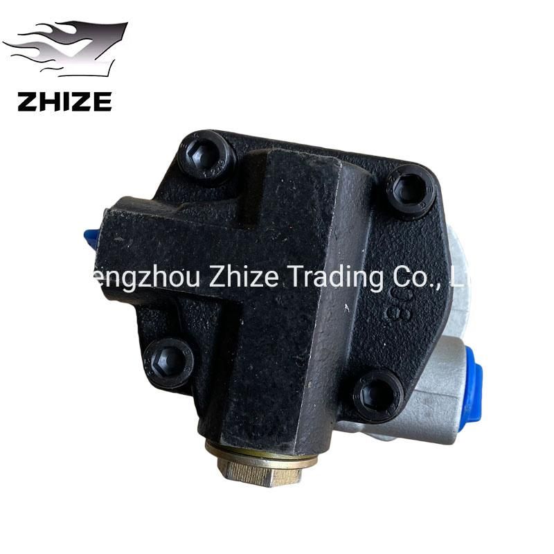 High Quality Two Hole Steering Oil Pump of Weichai of 803000307