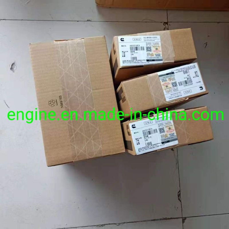 Qsm11 Diesel Engine Part Injector 4903319