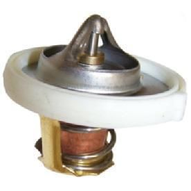 Thermostat for All Car OEM 11531731486