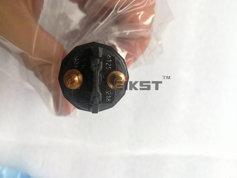 Good Quality Fuel System Common Rail Injector for Weichai Wp10 Engine