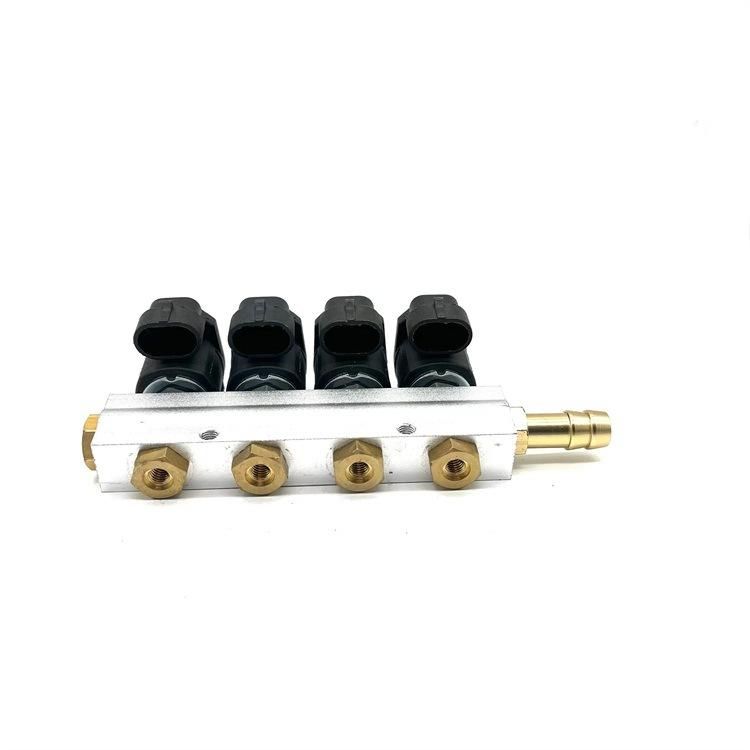 Auto Parts LPG CNG Gdi Injector Rail for Gas Conversion Kit 4 6 Cylinder Fuel System Injector Rail