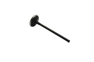 Factory Price Car Engine Parts Engine Valve for Ford Focus Intake Engine Valve