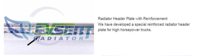 Cooling System Forklift Aluminum Radiator for 219n210101 (MQC) 5t