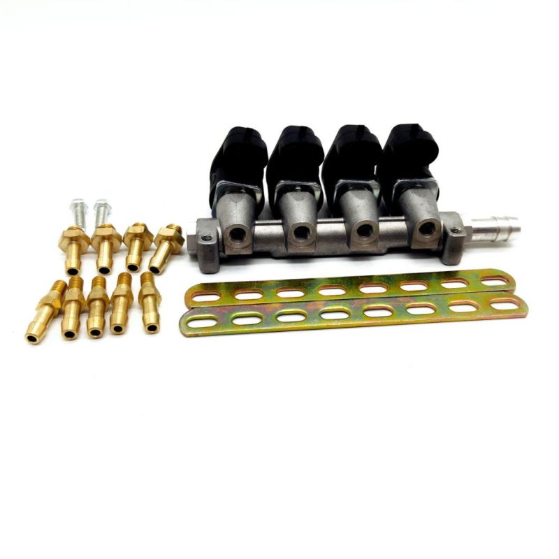 Llano Black Ln-Lig1 Injector Rail for Autogas Conversion Kit