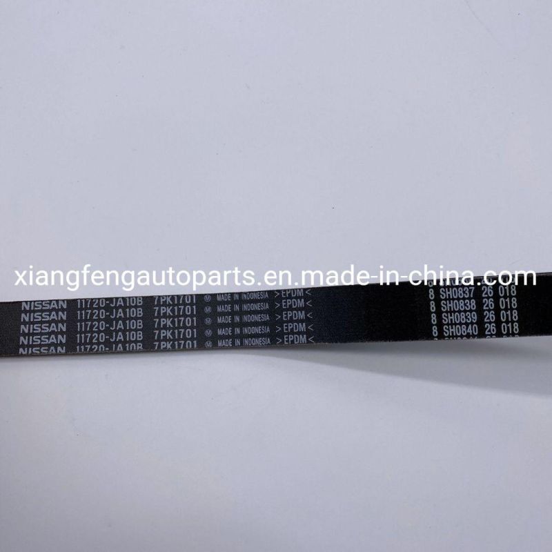 Auto Synchronous Fan Belt for Nissan Teana J32 11720-Ja10b 7pk1701
