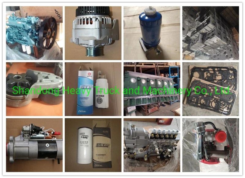 Brand New Original Sinotruk and Weichai Engine Starter Motor