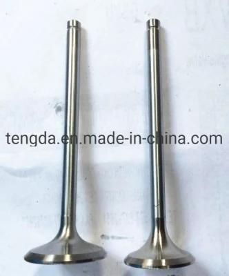 A293391 4900338 High Quality Diesel Engine Valves for Sale