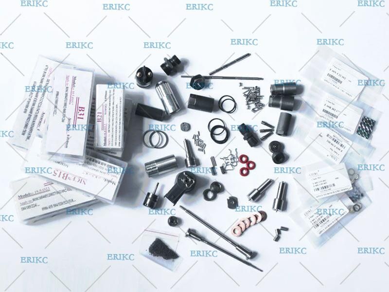 Erikc 095000-5801 Denso Common Rail Injection Repair Kits Include Spray Nozzle Dlla153p884 Valve Plate Bf23 (SFP6) , Pin, O-Ring