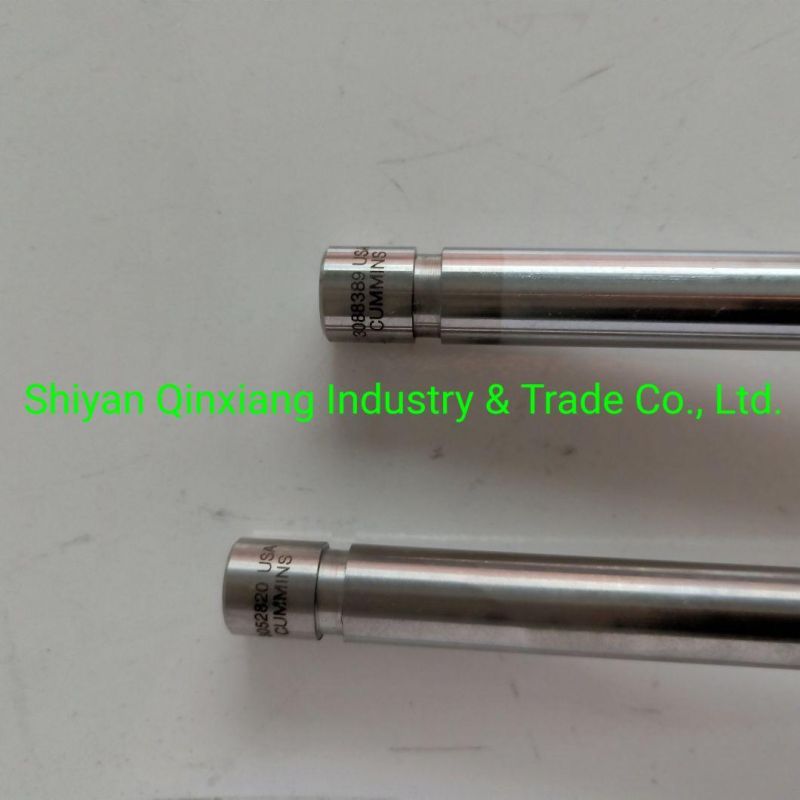 Qsk19 Valve Insert 3086192 3086193 Valve 3631950 4986317 3088389 3803528