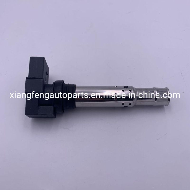 Car Accessory Auto Parts High Quality Ignition Coil for VW Polo OEM 036905715f