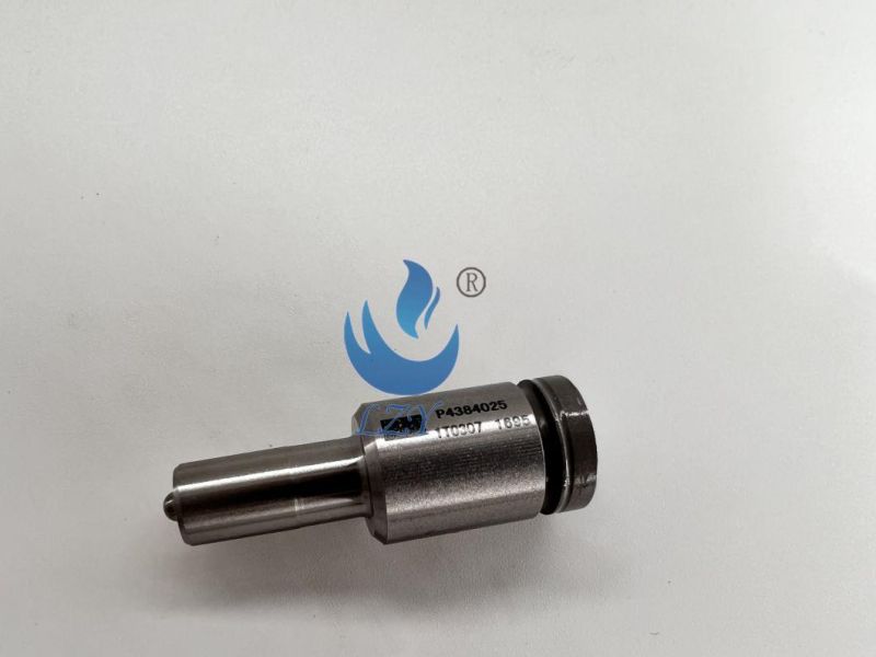 Diesel Engine Parts - Fuel Nozzle P4384025
