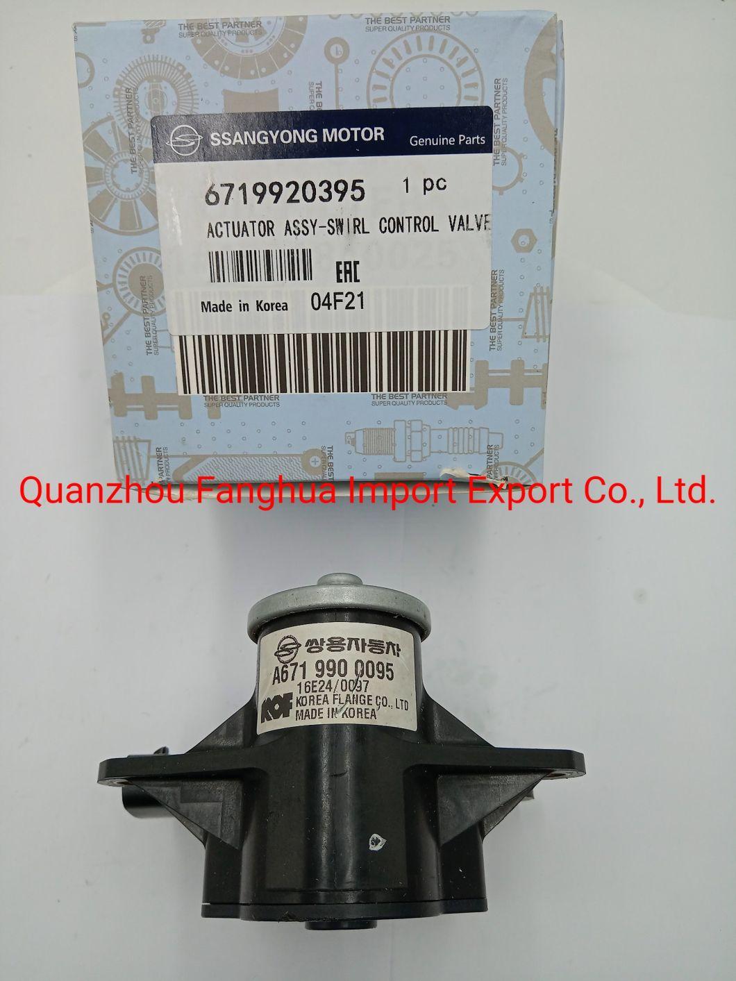 Auto Parts Hot Sale Intake Valve Assembly 6719920395 6719900095 for Ssangyong Car