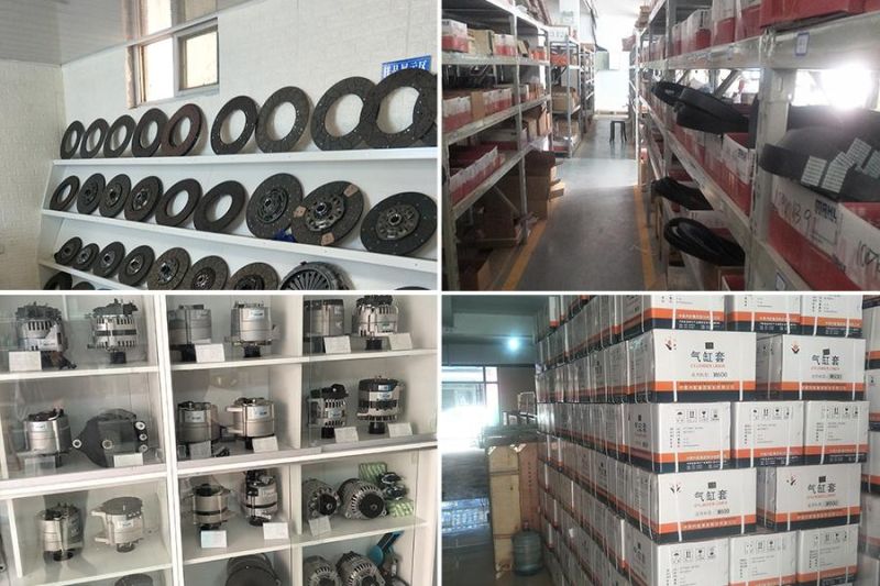 Nanqi Sofim Engine High Pressure Injection Pump for Iveco Truck