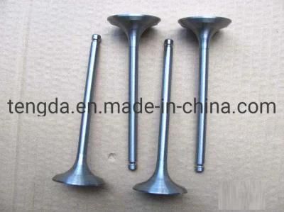 Engine Valve Intake Valve Exhaust Valve Dfsk Dfm Sokon Minivan Van EQ474 EQ465