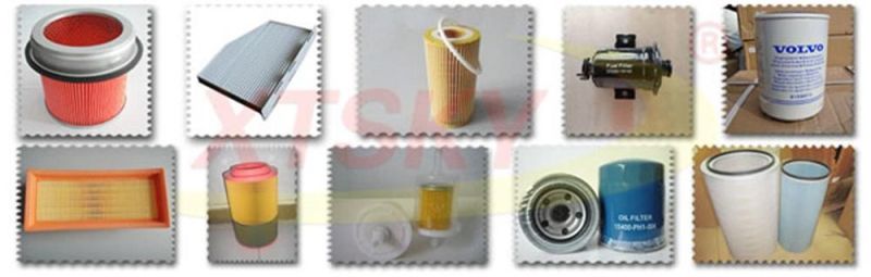 China High Quality Fuel Filter 600-311-8221