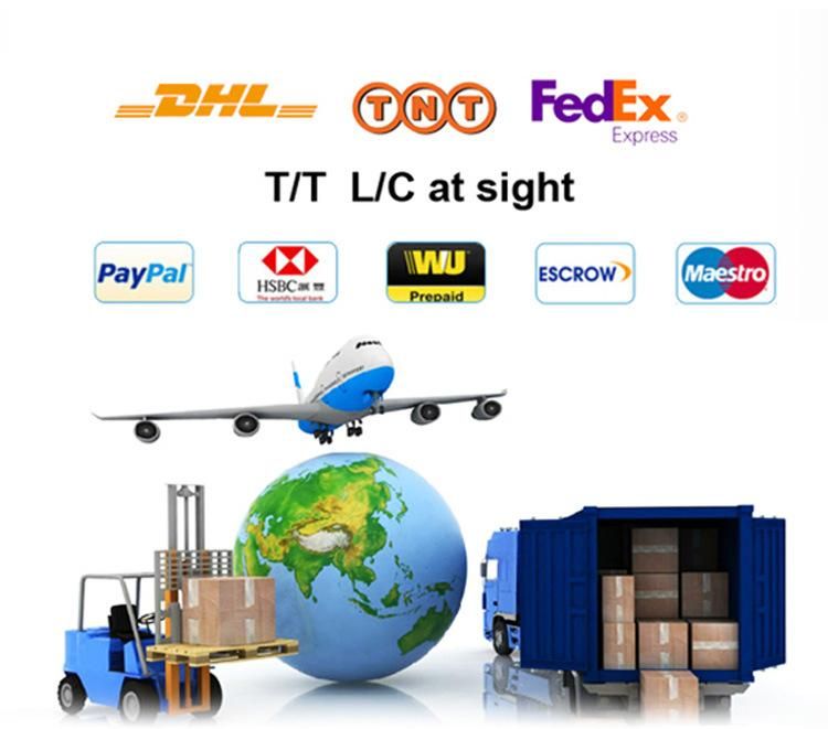 Automobile Fuel Pump Diesel Vehicle Electronic Pump Pump Core 4762964 23220-0c050