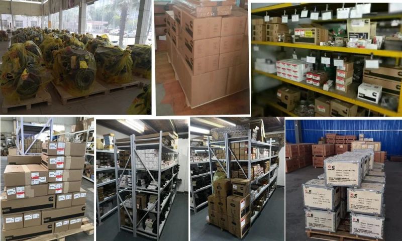 Diesel Engine Injector 3411756/3411753/3411752/3411754/3411821/3411845 for M11 Engine