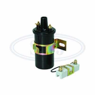 Hitachi Ignition Coil for C6r-800 C6r-800 OEM No.: C6r-800 Car Make Nissan, Ford, Toyota and FIAT Ref. Number C6r-800 Manufactre in Guangzhou