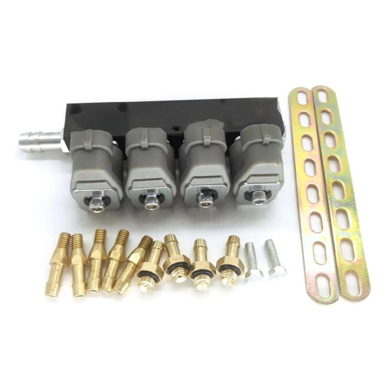 Llano Grey 3ohm CNG LPG Injector Rail Ln-Ig1s for 4 Cylinder Gnv Gpl Engine