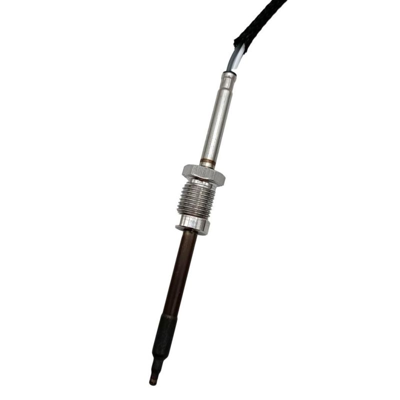 Car Sensor Egt Sensor for Ford
