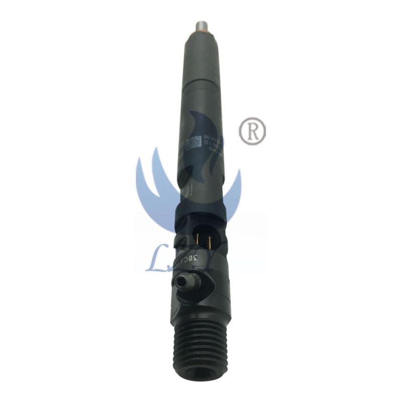 Lzy-Diesel Engine Parts-Delphi Injector Ejbr02801d