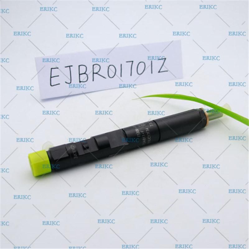 Erikc Diesel Car Fuel Part Injector Ejb R01701z Injector Ejbr0 1701z Delphi Injector Diesel Ejbr01701z for Renault