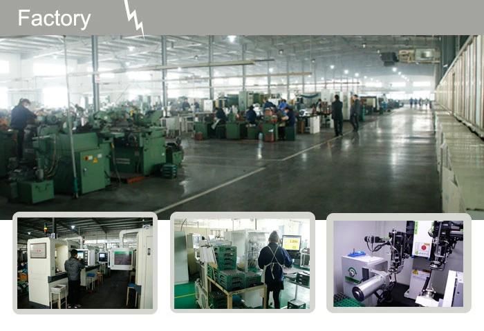 095000-6221 095000-6222 Common Rail Injector 095000-6223 Diesel Injection Pump 1112010b621-0000 for Dongfenf Xichai 6dl 4dl