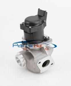 ISO/Ts16949 Egr Valve 1618. Nr /1618nr for New Peugeot and Citroen