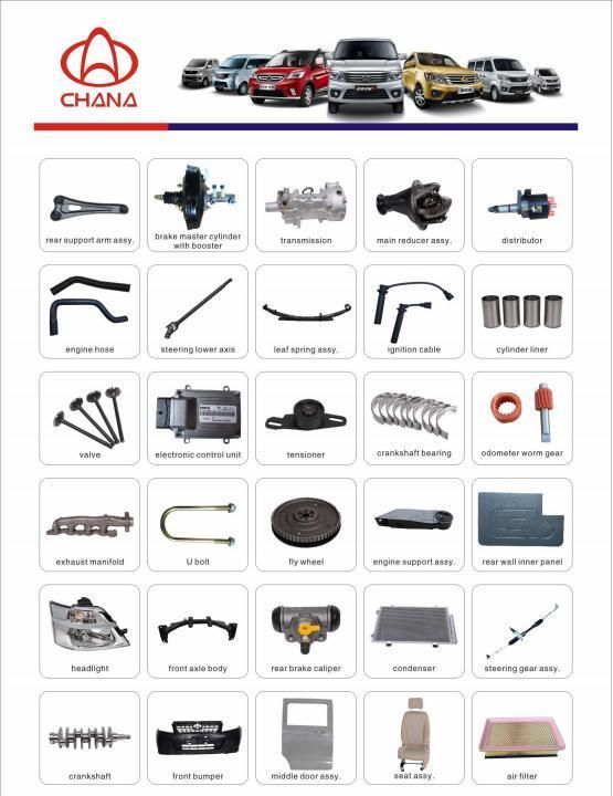 Auto Parts Electronic Fuel Pump Assembly for Changan Ruixing M80/G101 (1106100-13)