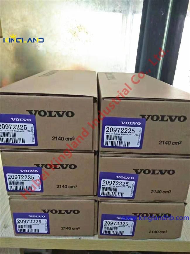 Auto Excavator Truck Diesel Engine Parts Delphi Volvo Fuel Injector Assembly Bebe4d16001 20972225