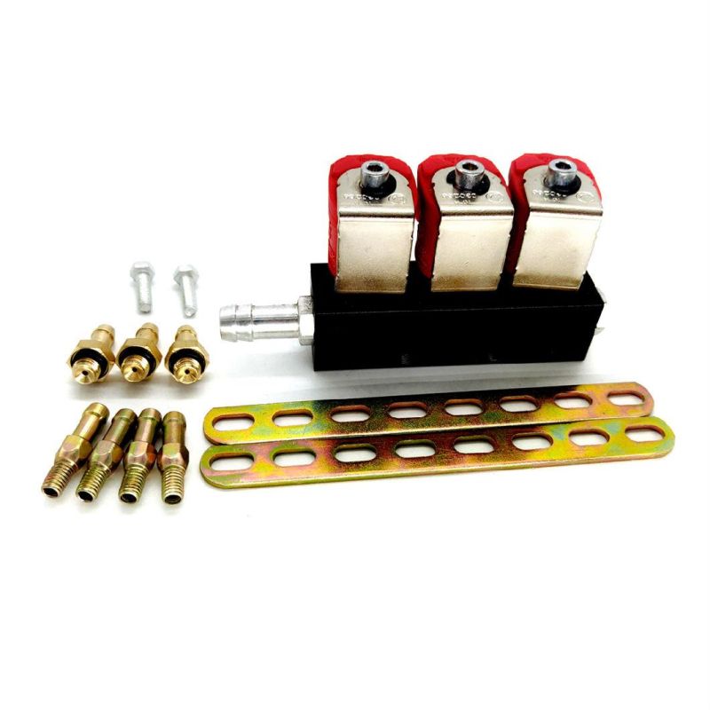Llano Red 3 Cylinder CNG LPG Injector Rail Ln-Lvtk03 for Multi Point Sequential Fuel Injection System