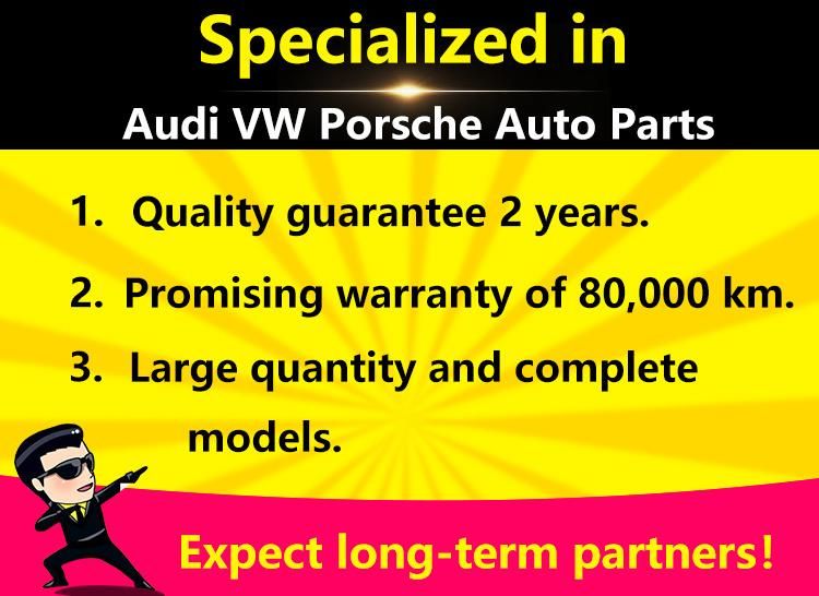 Water Pump OE Number by Audi, Seat, for Skoda, VAG, VW Water Pump - Genuine Audi VW 079121014f Water Pump (A6 A8 Q7 S5 S6 S8 RS5 Touareg 4.2L V8)