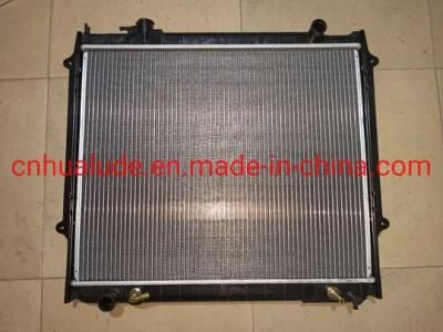 Hot Sell Aluminum Plastic Car Radiator, Dpi 1774