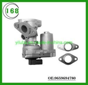 Brand New Egr Valve for Peugeots Boxer Land Rovers Defender Fiats Ducato 1618hq 1618r5 9659694780