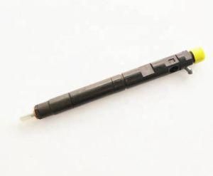 Common Rail Injector Auto Diesel Fuel Injector for Greattwall H5 H6 1100100-ED01