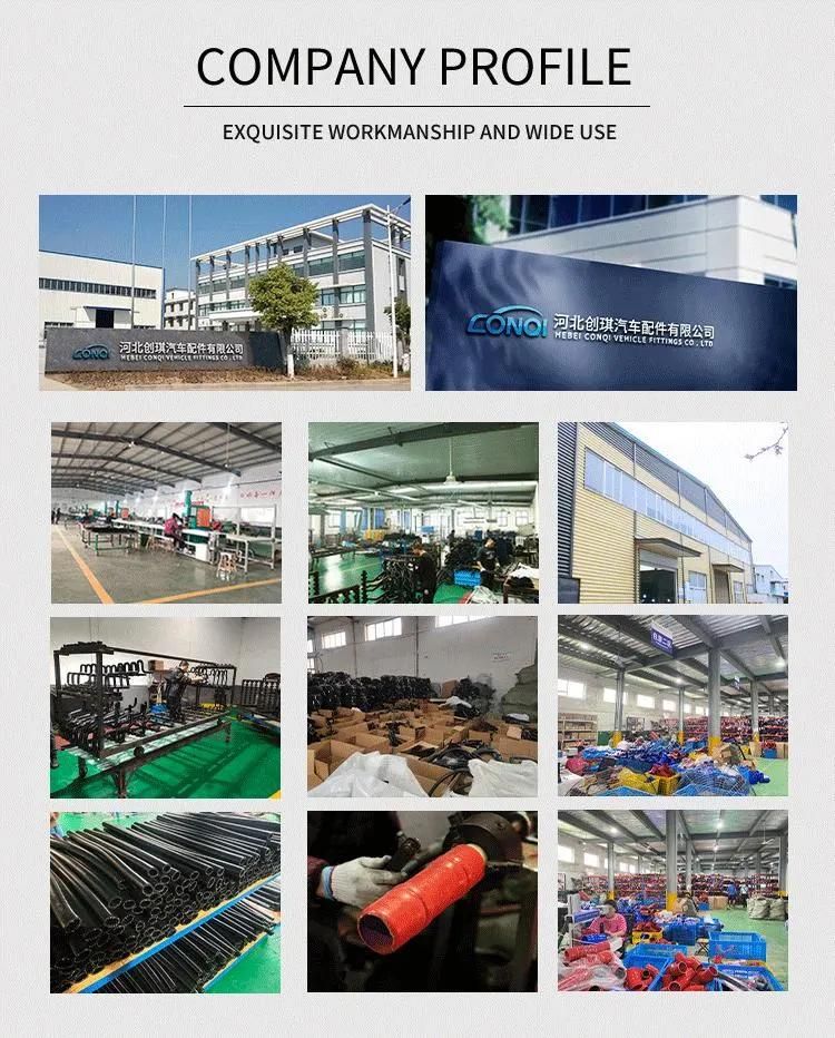 Colorful Customized OEM 049121063n Radiator Bending Silicone Hose