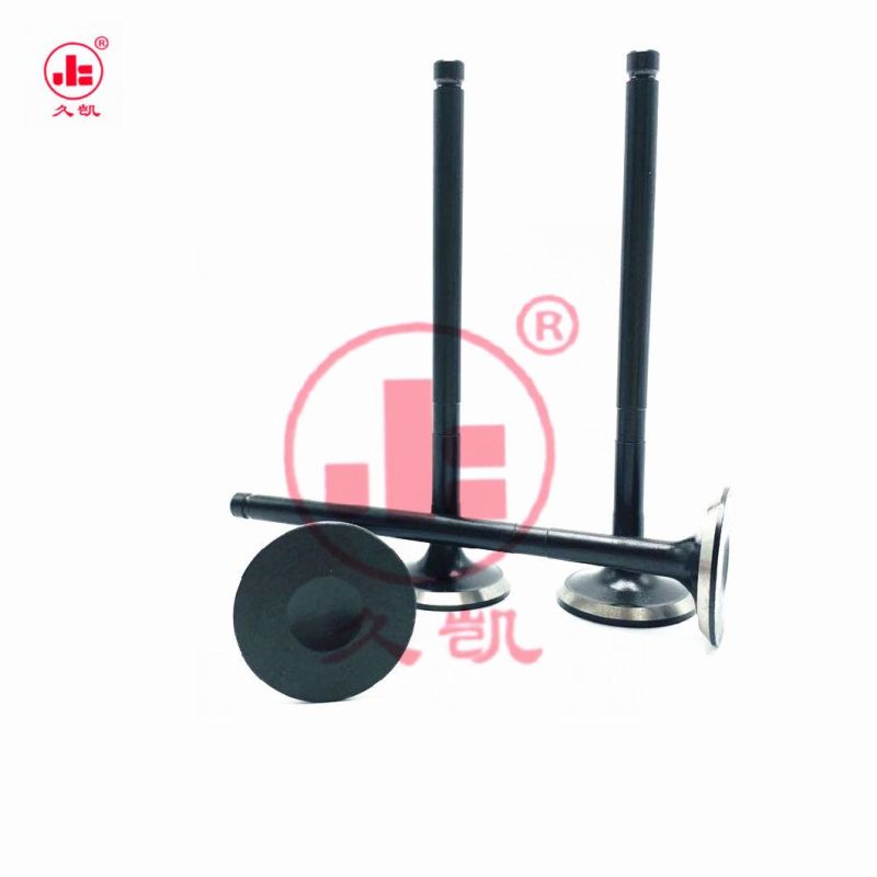 Engine Valve Intake Exhaust Valve 96376980 for Kalos 1.4 Doch Lacetti 1.4 Cruz 1.6 Nubira 1.6 F14D3 F16D3