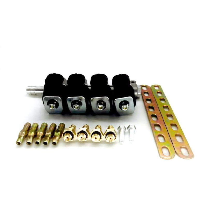 Llano Black 2ohm 4 Cylinder CNG LPG Injector Rail Ln-Lig1 for High Quality Autogas Equipment