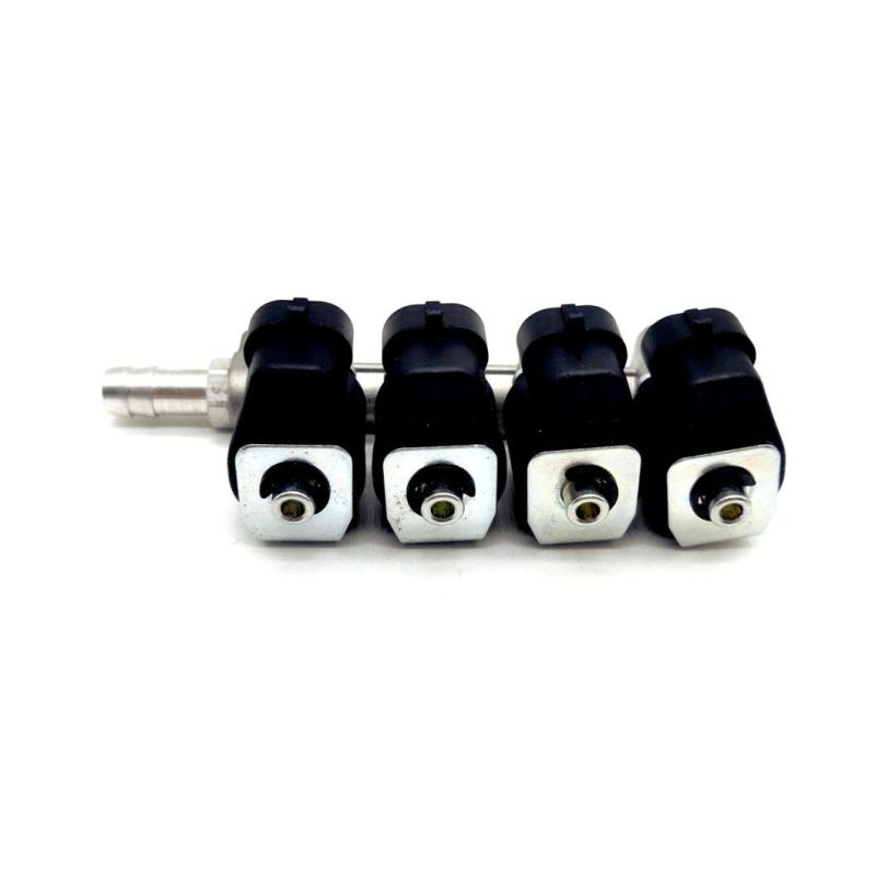 CNG LPG Gas Fuel Injector Rail System Kit Conversion Gnv Motorcycle for Other Auto Engine Parts Spare
