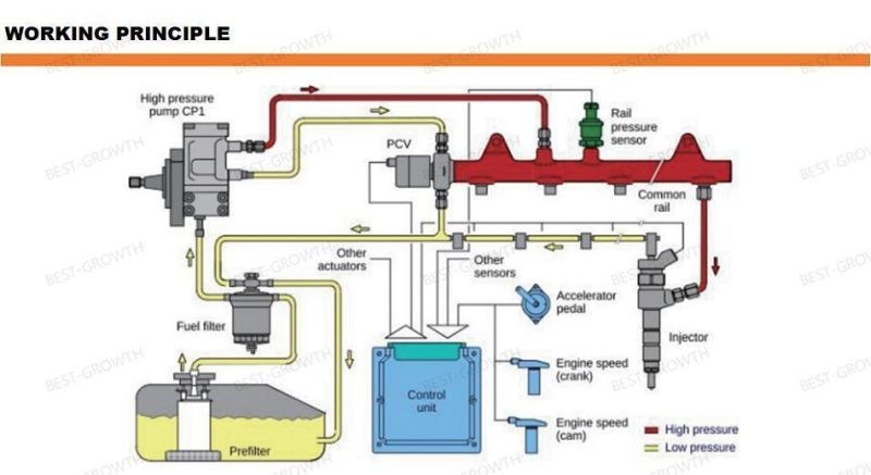 Common Rail Control Valve Hight Quality Diesel Fuel Metering Valve