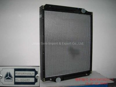 Genuine Cnhtc Sinotruk HOWO 371 375 Truck Spare Part Wg9719530231 Chassis Radiator Parts