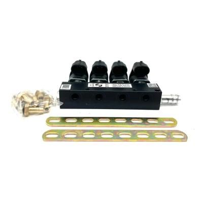 4cyl CNG LPG Injector Rail Conversion Kits Gas Equipment for Auto Car Fuel System Injector Rail