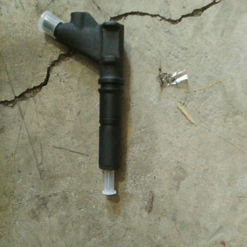 Injector 0445110629 for Jianghuai Light Truck Engine High Pressure Pump Accessory