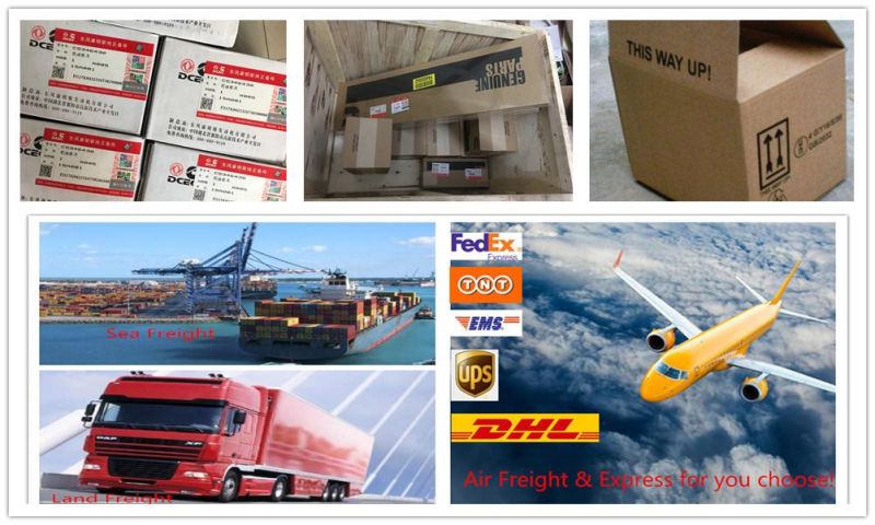 Common Rail Injector 0445110802/0445110812/0445110817/0445110821 Fuel Injection System for Trucks