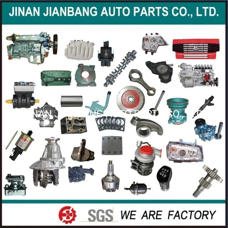 HOWO Shacman FAW Foton Beiben Camc Dfm Truck Spare Parts Engine Parts Injection Pump