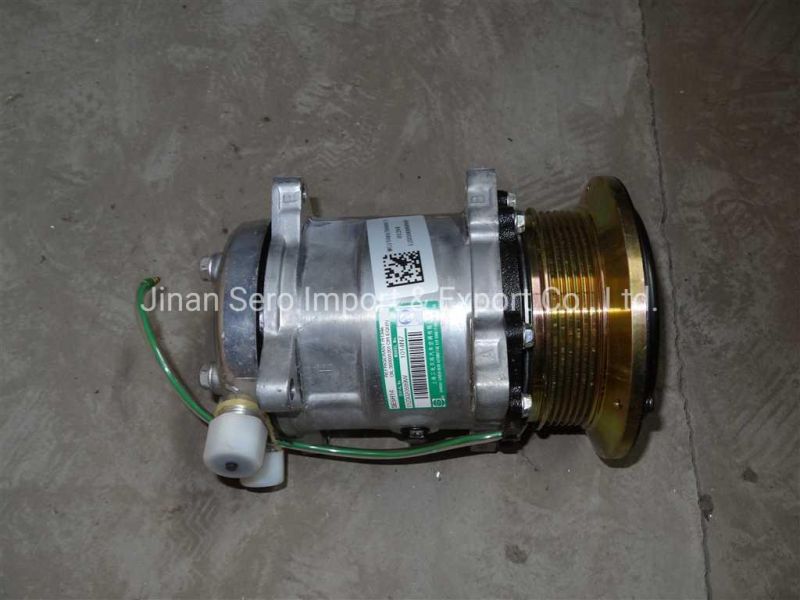 Sinotruk HOWO Truck Parts Engine Parts Air Compressor Vg1246130008 for Chinese Truck Auto Spare Parts