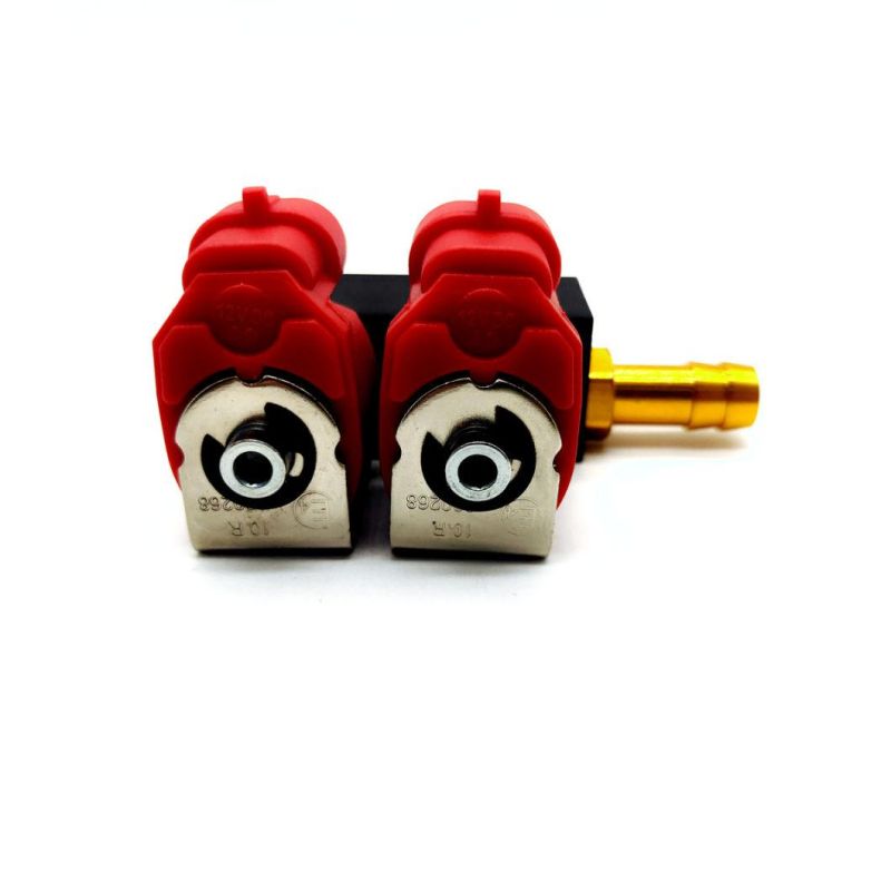 Llano Red LPG CNG Rail Injector Ln-Lvtk02 for 2-Cylinder Gpl Gnv Engines