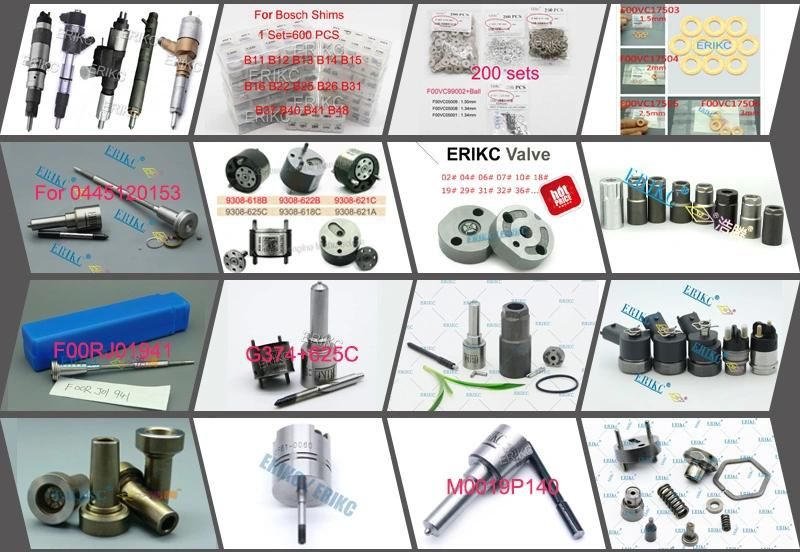 Erikc Automatic Fuel Nozzle Dsla 153p5518 Common Rail Injector Nozzle Dsla153p5518 Dsla 153 P 5518