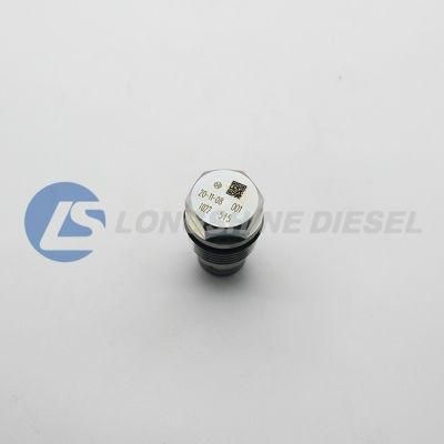Common Rail Pressure Relief Valve 1110010022